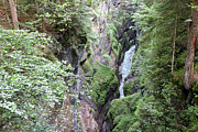 Waterfall and Forest Photograph by Brigitte Blanchette Thompson Waterfall and Forest Photograph by Brigitte Blanchette Thompson