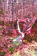 Waterfall leading to Eagle Creek Digital Art by Bruce Block