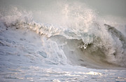 Wave of Cotton Candy Photograph by Debra Banks