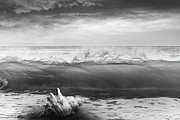 Waves and Shells III Black and White Photograph by Debra and Dave Vanderlaan Waves and Shells III Black and White Photograph by Debra and Dave Vanderlaan