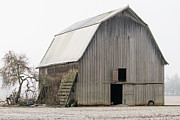 Weathered Barn in the Fog Photograph by Catherine Avilez