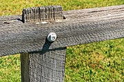 Weathered Fence Photograph by David Desautel