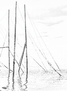 Weir Study - Partridge Island Photograph by Alan Norsworthy