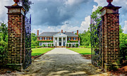 Welcome to Boone Hall Photograph by Jennifer White