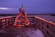 Wells Harbor Christmas Lobster Buoy Tree Photograph by Jeff Folger