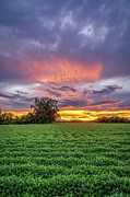West Mobile Sunset, 8/23/20 Photograph by Brad Boland