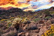 West Tucson Mountain Sunset Photograph by Geno West Tucson Mountain Sunset Photograph by Geno
