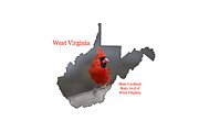 West Virginia themed accessories  Photograph by Daniel Friend