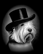Westie in a Top Hat Black and White Ai Art by AI Digital Westie in a Top Hat Black and White Ai Art by AI Digital
