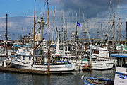 Westport Fishing Boats Digital Art by Tom Janca