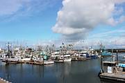 Westport Marina  Digital Art by Tom Janca