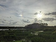 Wetlands 3582 Photograph by David McKinney Wetlands 3582 Photograph by David McKinney