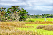 Wetlands at Fort Macon State Park - Atlantic Beach NC Photograph by Bob Decker