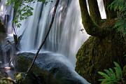 Whatcom Falls - Color Photograph by Mary Lee Dereske