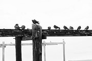What's Up With This Weather? Photograph by Marcia Lee Jones