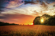 Wheat field at sunset Photograph by Dejan Travica Wheat field at sunset Photograph by Dejan Travica