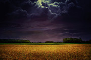  Wheat field under the purple sky Photograph by Dejan Travica