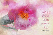 Where Flowers Bloom Photograph by Amy Dundon