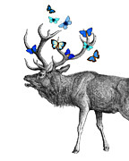 Whimsical Deer Digital Art by Madame Memento