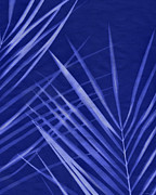 Whispering Palm Leaves- Art by Linda Woods Mixed Media by Linda Woods Whispering Palm Leaves- Art by Linda Woods Mixed Media by Linda Woods