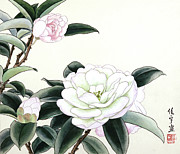 White Camellias Painting by Ren Yu White Camellias Painting by Ren Yu