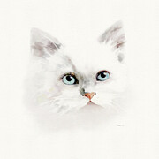 White Cat with Blue Eyes Digital Art by Bamalam Art