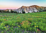 White Cloud Mountains Idaho Photograph by Leland D Howard