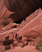 White House Petroglyph Photograph by Tom Daniel