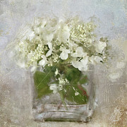 White Hydrangea Photograph by Karen Lynch