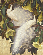 White peacocks and copa de oro by Jessie Arms Botke Painting by Jessie Arms Botke