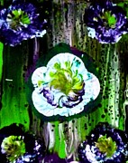 White Petals Painting by Anna Adams