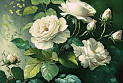 White Roses 2 Painting by Tina LeCour White Roses 2 Painting by Tina LeCour