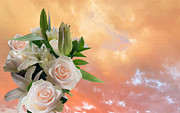White Roses Orange Sunset Photograph by Brian Watt