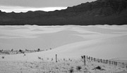 White Sands New Mexico bw Photograph by Bob Pardue