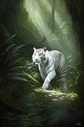 White Tiger in a Dense Forest Digital Art by Daniel Eskridge