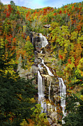 Whitewater Falls Photograph by Penny Lisowski Whitewater Falls Photograph by Penny Lisowski