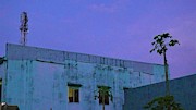 Who will reach the sky Photograph by Robert Bociaga