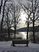 Who Would You Sit With? Photograph by Dawn Steiger