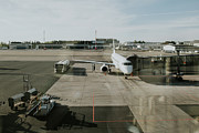 Wide shot of a airport employee refuelling a plane Photograph by Catherine Falls Commercial