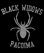 Widows Pacoima Digital Art by Flippin Sweet Gear