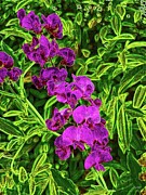 Wild Pea Flowers Digital Art by Bruce Block