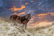 Wildfire Photograph by Pete Federico