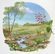 Wildflowers II Painting by Chuck Ripper Wildflowers II Painting by Chuck Ripper