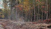 Will O' The Wisp  Photograph by Alan Norsworthy