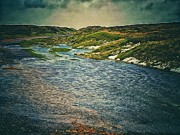 Wind and Water Photograph by Mark Egerton Wind and Water Photograph by Mark Egerton