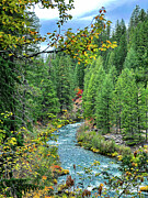 Winding River Photograph by Curt Brashear