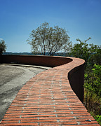 Winding Wall Photograph by Steven Nelson