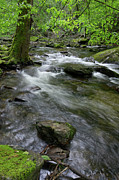 Winding Waters Photograph by Phil Perkins