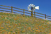 Windmill, Fence and Poppies Photograph by Bonnie Colgan Windmill, Fence and Poppies Photograph by Bonnie Colgan