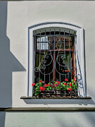 Window Box and Shadow Photograph by Leslie Brashear